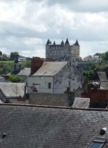 Appt 2ème étage sur l’ile de Saumur Exterior foto